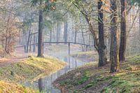 Magischer Morgen auf dem Landgut Heidestein!
