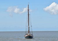 Het bruine vloot schip Averechts