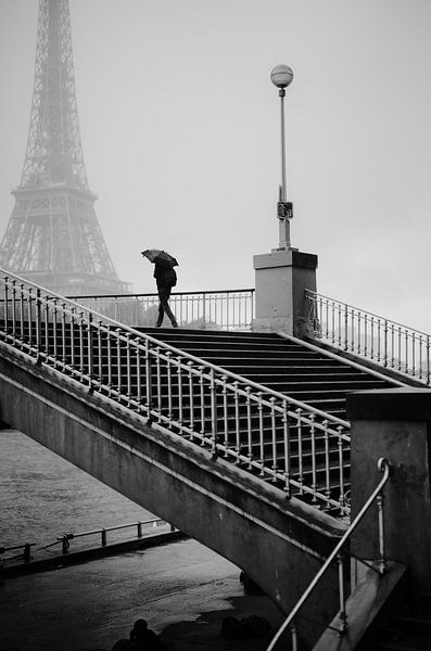 Passerelle Debilly par Nico Geerlings
