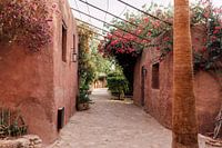 De bloemenstraat | Marokkaanse Reisfotografie