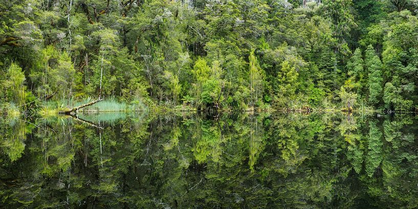 Mirror Lake von Rainer Mirau