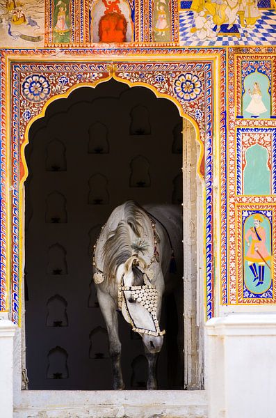 Marwari paleis von Merel Bormans