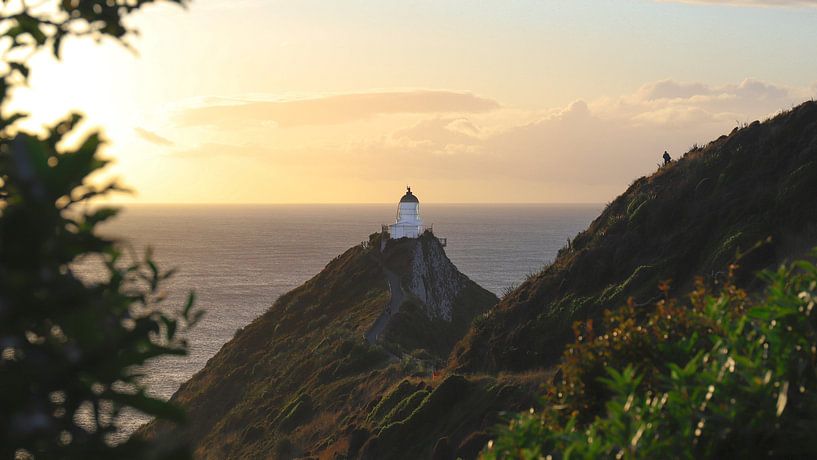 Sunrise Nugget Point: Golden Hour at the Lighthouse by Be More Outdoor