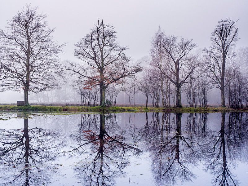 Die 4 Brüder von Henk Goossens