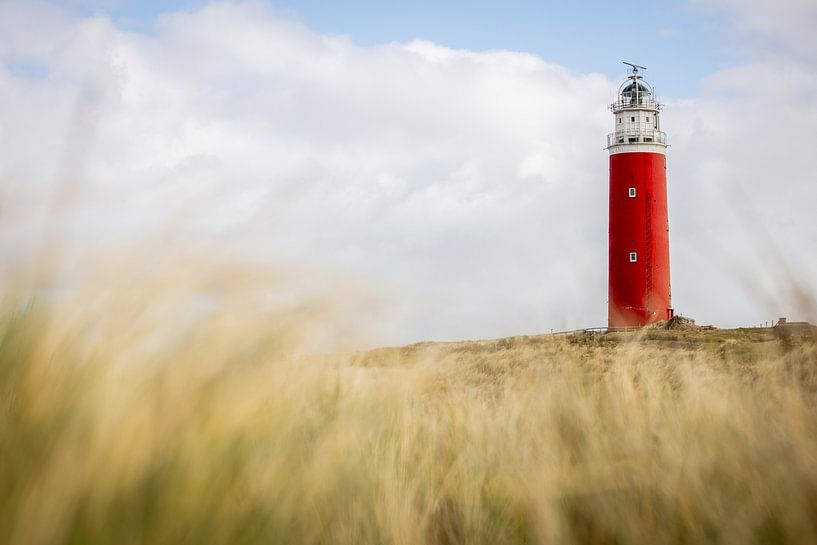 Leuchtturm von Texel von den Dünen aus von PIX on the wall