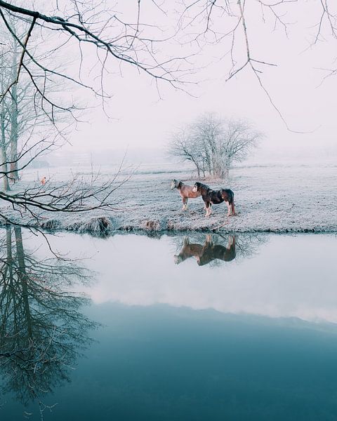 Pastel magie rivier Regge van Vladimir Fotografie
