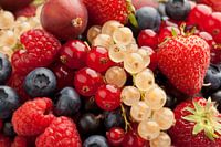 Composition de fruits d'été frais et mûrs, gros plan