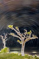 Startrails St. Eustatius