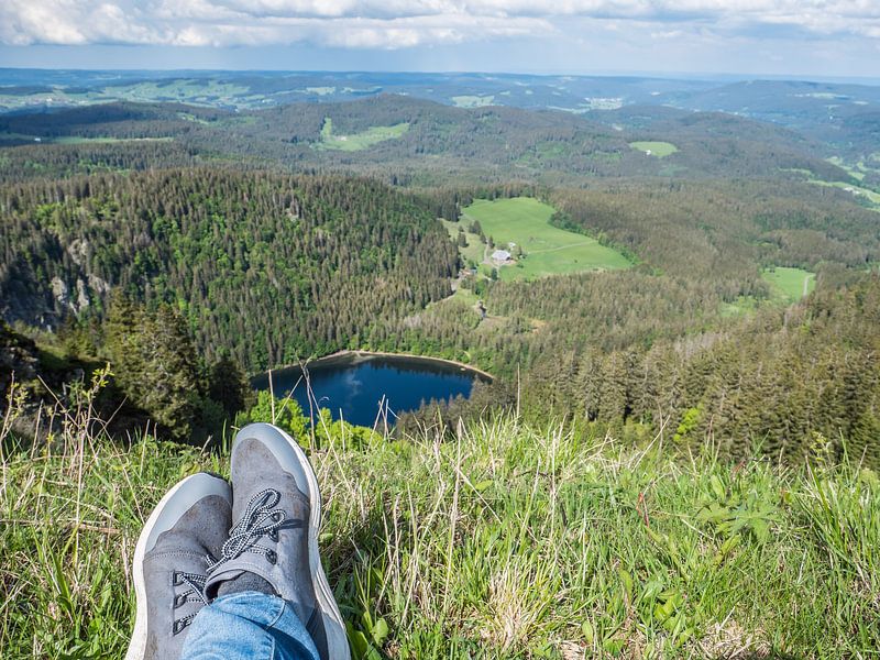 View of the Feldsee in the Black Forest by Animaflora PicsStock