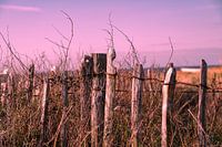 Zaun bei Sonnenuntergang