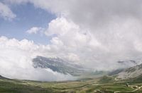 Landschap - "Movement"