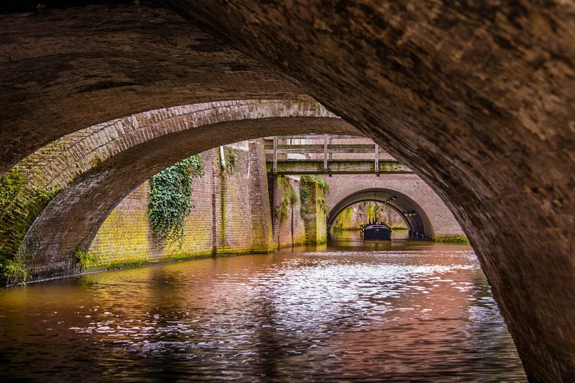 's-Hertogenbosch Indoor Dive by Guy Lambrechts Photography