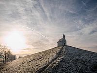 Der Hügel leidschenveen, im morgendlichen Gegenlicht.