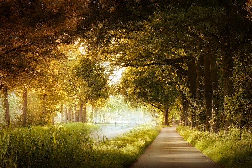 Oh Happy Days par Kees van Dongen