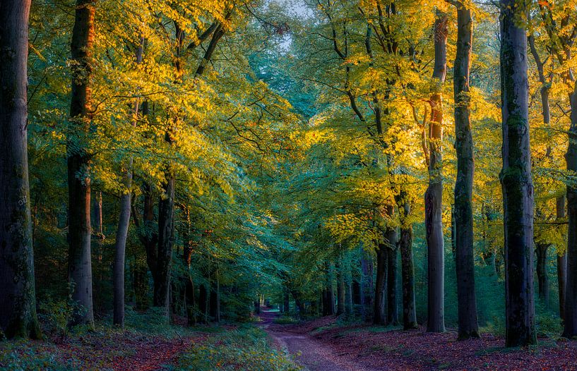 Evening light. by Verliefd op Utrecht