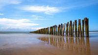 Piquets de plage sur la Côte d'Opale
