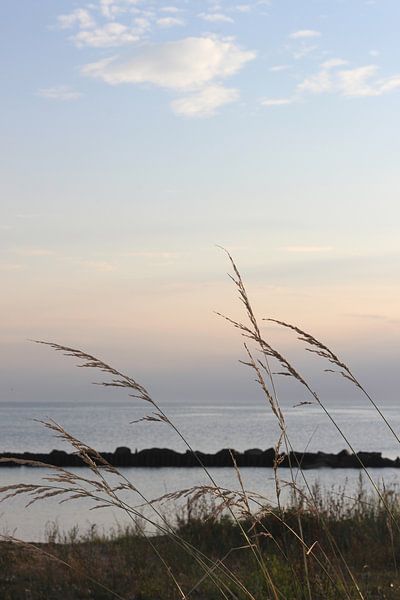 Abendstimmung von Ostsee Bilder