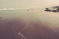 Wilde Küste Portugal - Leuchtturm