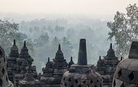 Ein mystischer Moment am Borobudur