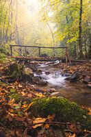 Märchenhafte Brücke