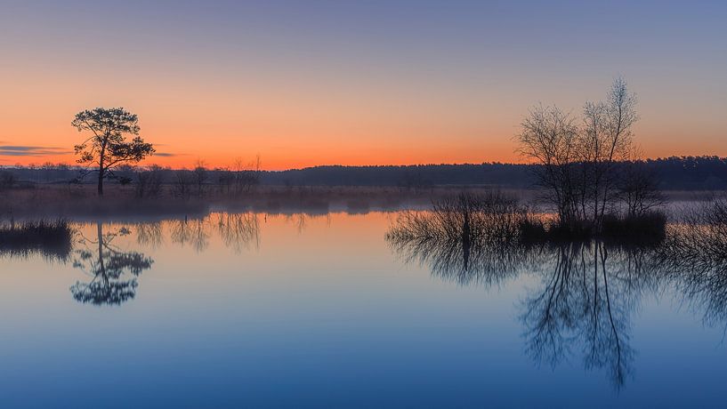 Sonnenaufgang im Dwingelderveld National Park von Henk Meijer Photography