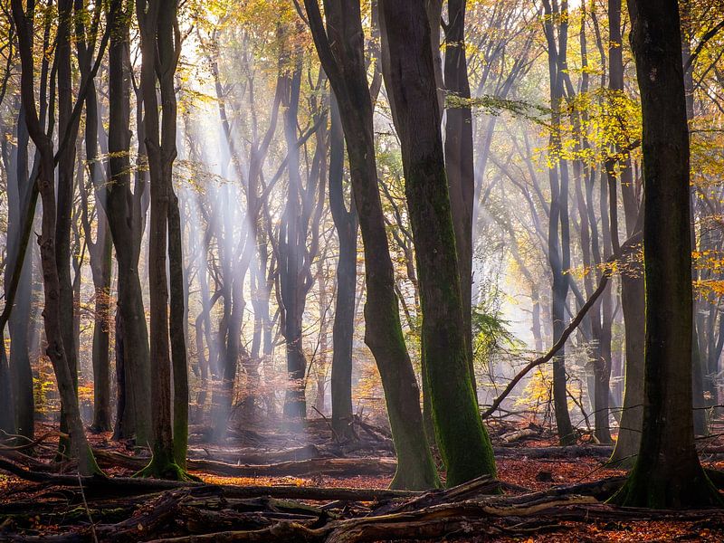 Tot in het diepst van Tvurk Photography