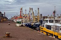 IJmuiden fishing port