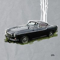 volvo p1800s