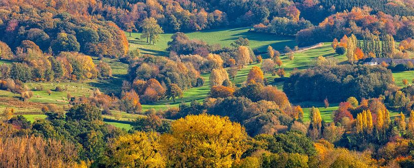 Panorama des Vijlenerbos in Herbstfarben von John Kreukniet