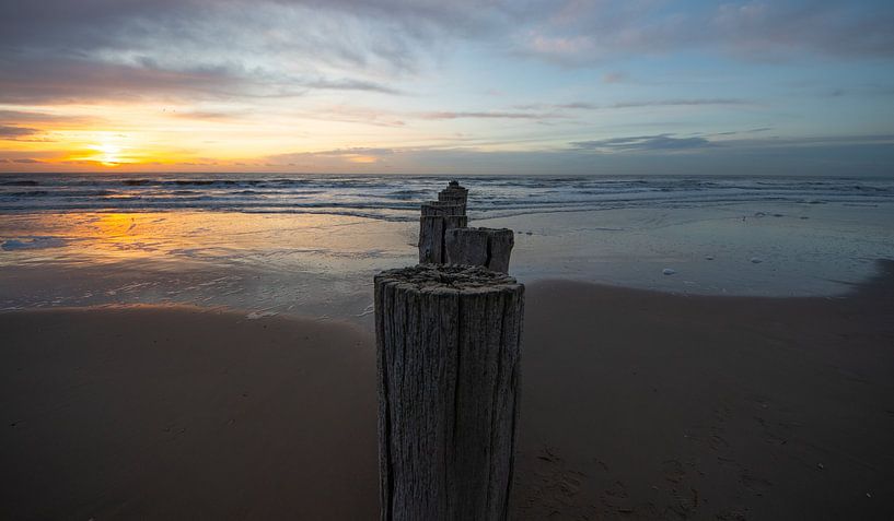 Posts 6 by peterheinspictures