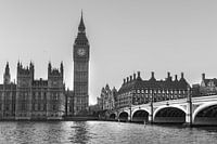 Gros plan du palais de Westminster