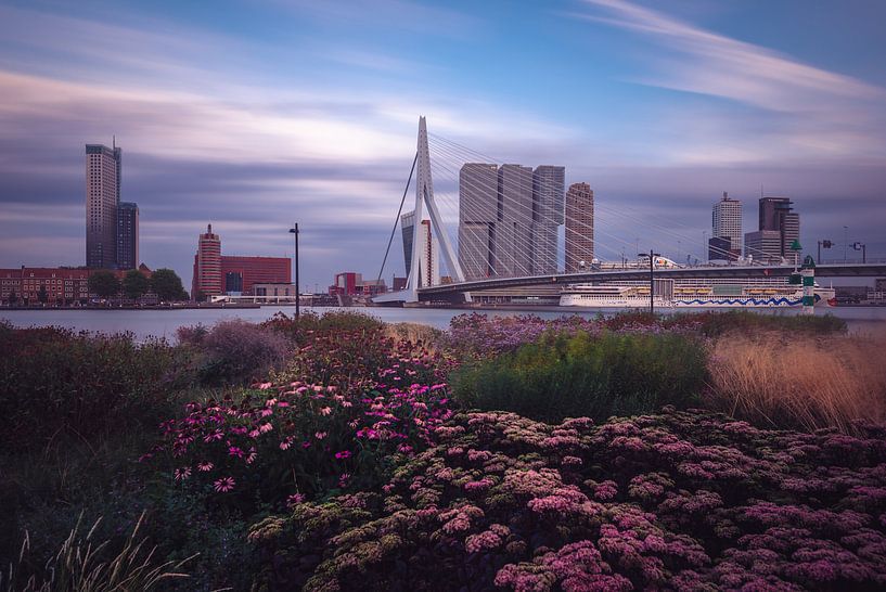 Kop van Zuid von Leuvehoofd von Ronne Vinkx