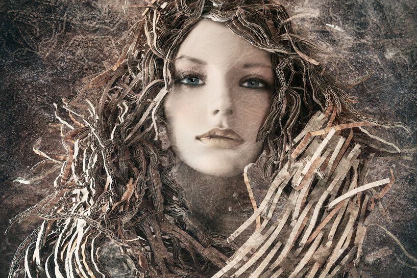 De Leeuwen koning(in) van Marijke de Leeuw - Gabriëlse