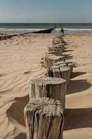 Beach bollards in Zeeland