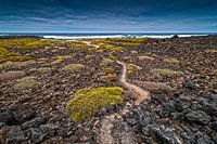 Landschap strand en zee bij Lanzarote Spanje