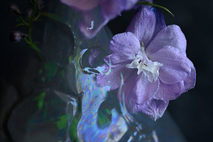 Playful Happiness by Pure Details by Linda