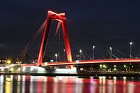 vieux port, rotterdam, willemsbrug
