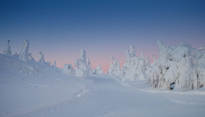 La lumière du matin brille sur la neige blanche par Menno Schaefer