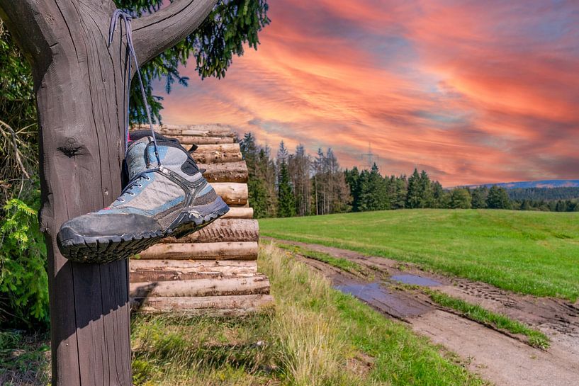 Sentier de randonnée sur le Rennsteig dans la forêt de Thuringe par Animaflora PicsStock