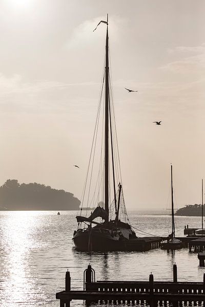 Platbodem in de nevel van Jan van den Broek 2BHAPPY4EVER