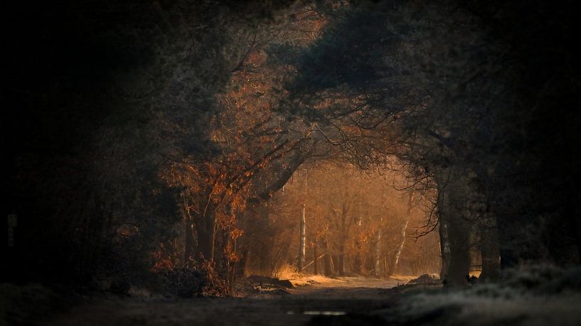 Winter vista by Jolanda Stam