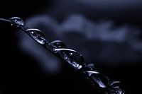 drops on a sheet of black and white