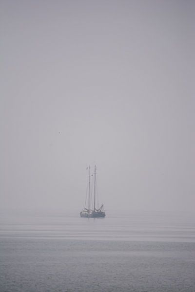 Stehender Nebel von Lieke Oppelaar