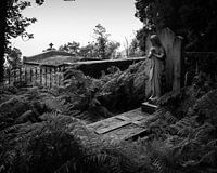 a grave with ferns in black and white