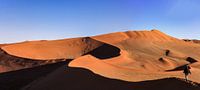 Die Dünen des Sossusvlei in Namibia