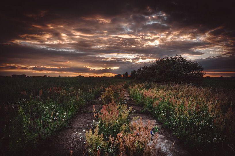 Verlassener Betonpfad von Skyze Photography by André Stein