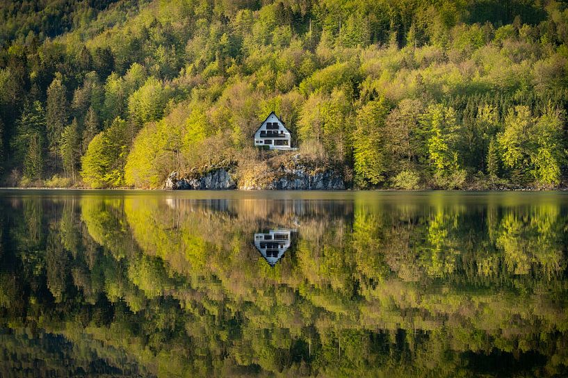 Reflet du lac de Bohinj par René de Vries