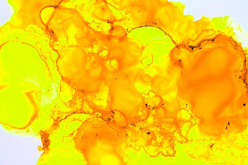 Neon von Joke Gorter