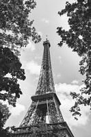 Eiffel Tower | Paris
