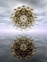 Toroidal Reflections